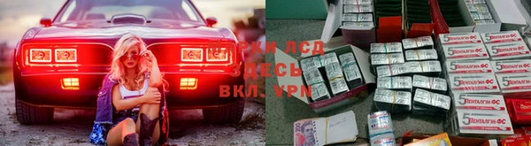 крисы Беломорск