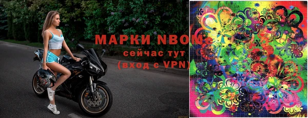 экстази Белокуриха