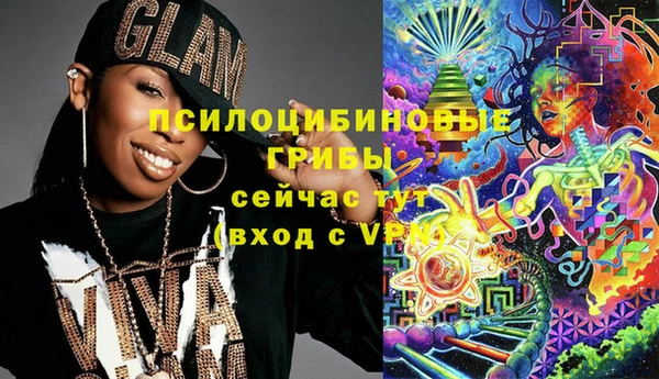 синтетический гашиш Богородицк
