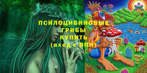 крисы Беломорск