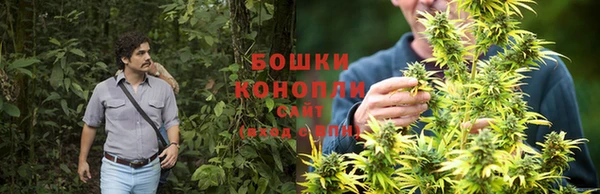 PSILOCYBIN Богородск