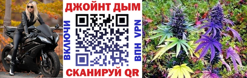 omg вход  Вязники  Шишки марихуана план 